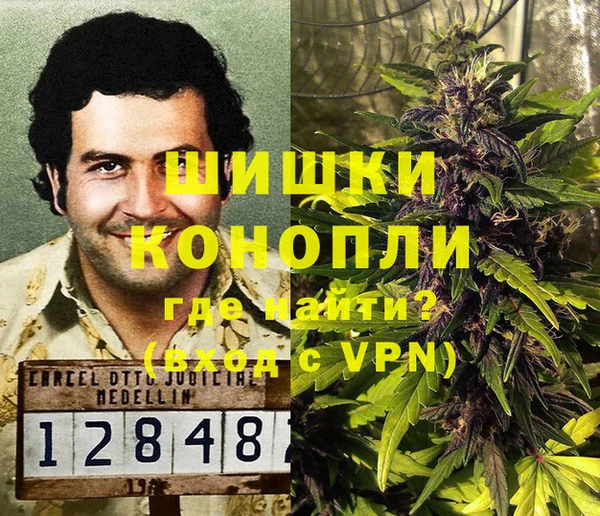 шишки Абинск