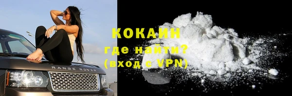 шишки Абинск