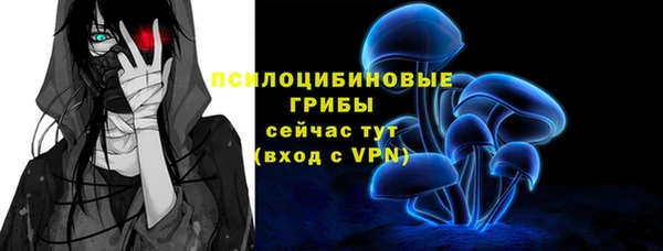 тгк Абаза