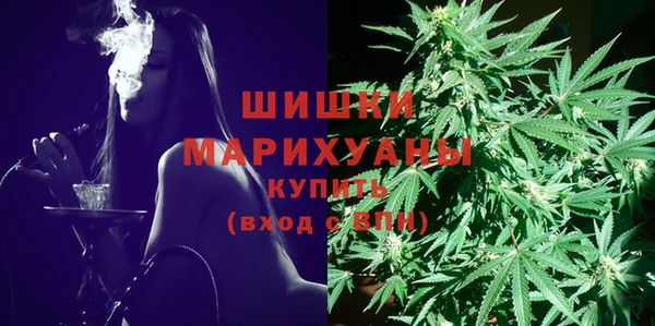 тгк Абаза