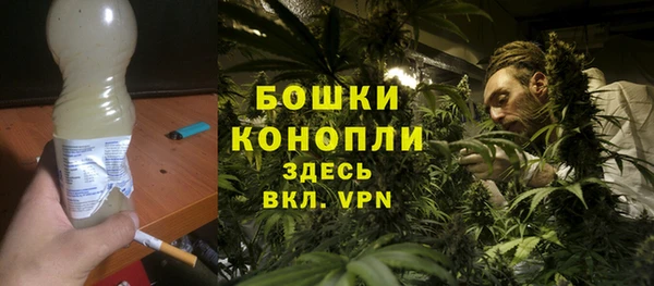 тгк Абаза